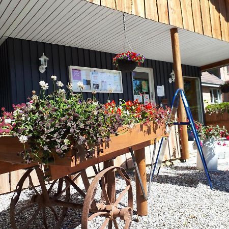 Bollingso Camping Engesvang Exteriör bild