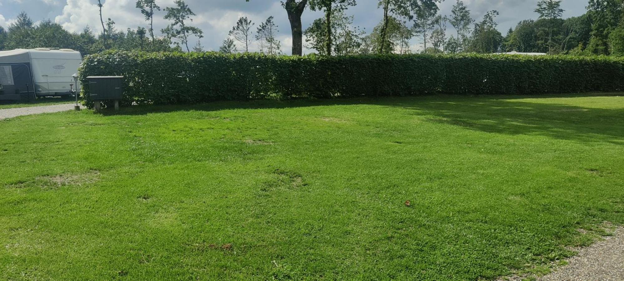 Bollingso Camping Engesvang Rum bild